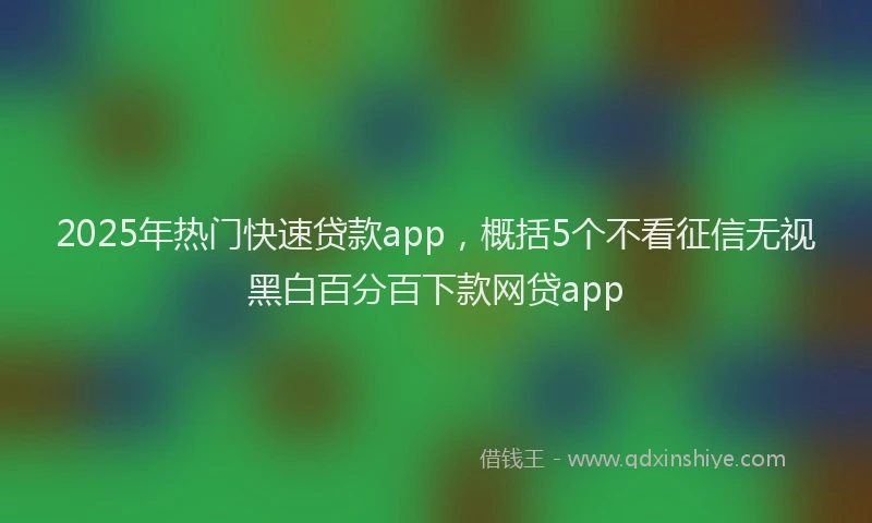 2025年热门快速贷款app，概括5个不看征信无视黑白百分百下款网贷app