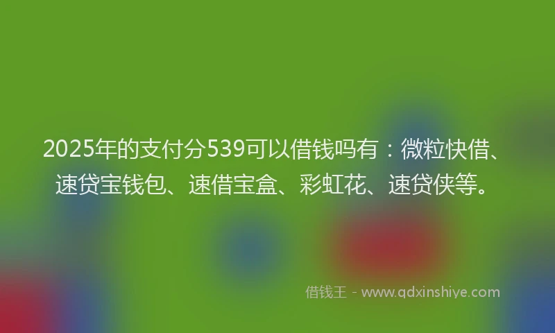 2025年的支付分539可以借钱吗有：微粒快借、速贷宝钱包、速借宝盒、彩虹花、速贷侠等。