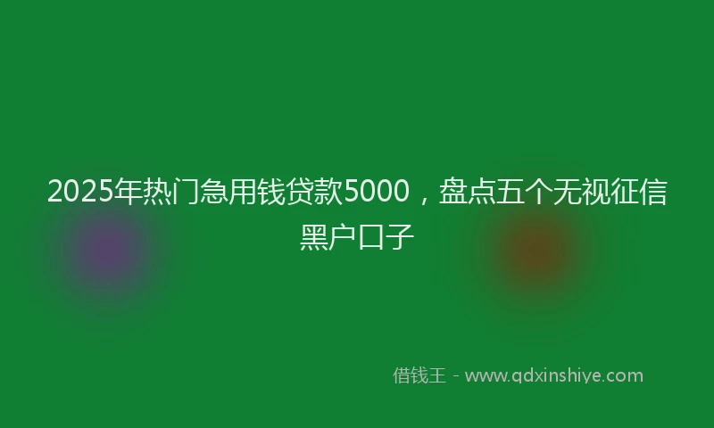 2025年热门急用钱贷款5000，盘点五个无视征信黑户口子