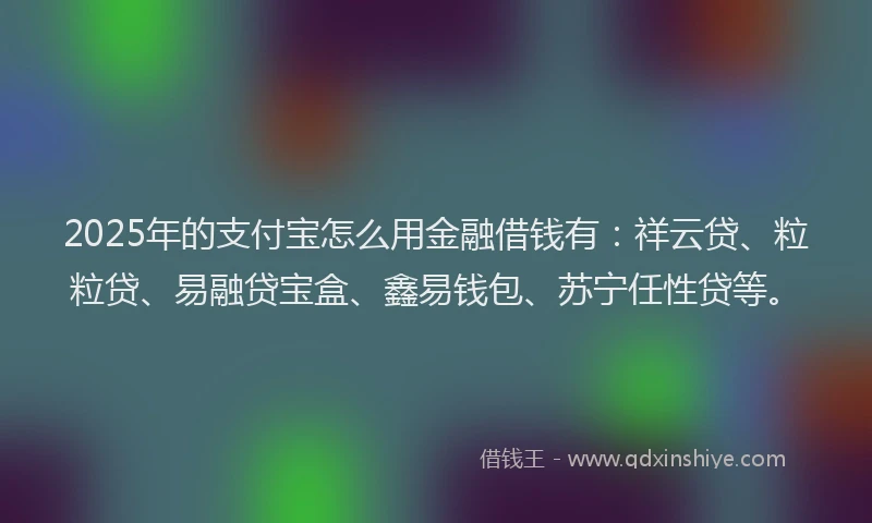 2025年的支付宝怎么用金融借钱有：祥云贷、粒粒贷、易融贷宝盒、鑫易钱包、苏宁任性贷等。