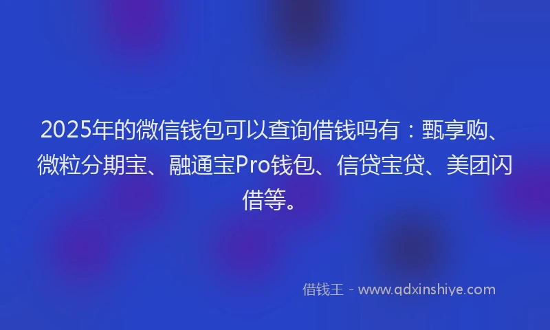 2025年的微信钱包可以查询借钱吗有：甄享购、微粒分期宝、融通宝Pro钱包、信贷宝贷、美团闪借等。