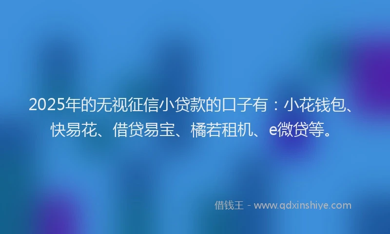 2025年的无视征信小贷款的口子有：小花钱包、快易花、借贷易宝、橘若租机、e微贷等。