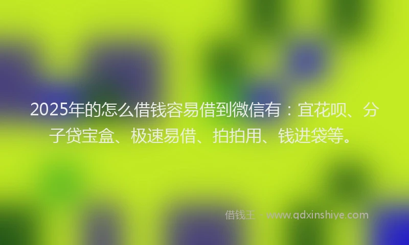 2025年的怎么借钱容易借到微信有：宜花呗、分子贷宝盒、极速易借、拍拍用、钱进袋等。
