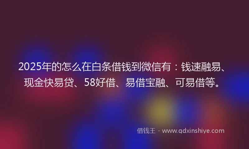 2025年的怎么在白条借钱到微信有：钱速融易、现金快易贷、58好借、易借宝融、可易借等。