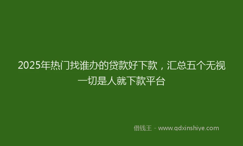 2025年热门找谁办的贷款好下款，汇总五个无视一切是人就下款平台
