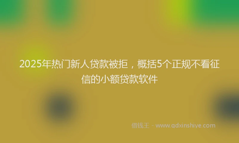 2025年热门新人贷款被拒，概括5个正规不看征信的小额贷款软件