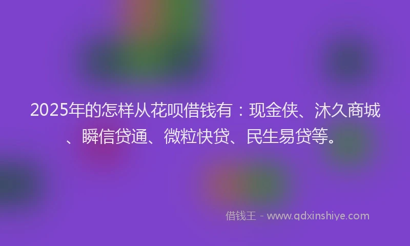 2025年的怎样从花呗借钱有：现金侠、沐久商城、瞬信贷通、微粒快贷、民生易贷等。