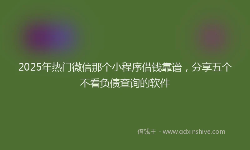 2025年热门微信那个小程序借钱靠谱，分享五个不看负债查询的软件