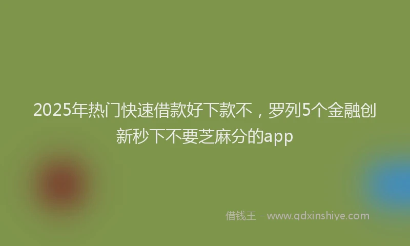 2025年热门快速借款好下款不，罗列5个金融创新秒下不要芝麻分的app
