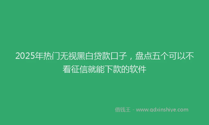 2025年热门无视黑白贷款口子，盘点五个可以不看征信就能下款的软件