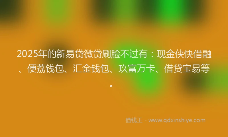 2025年的新易贷微贷刷脸不过有：现金侠快借融、便荔钱包、汇金钱包、玖富万卡、借贷宝易等。