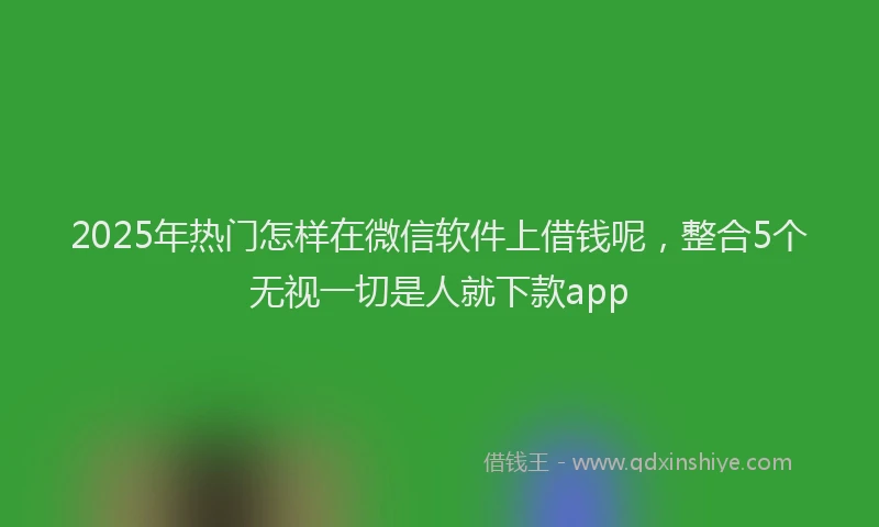 2025年热门怎样在微信软件上借钱呢，整合5个无视一切是人就下款app