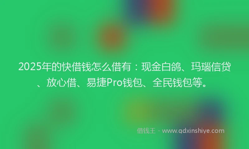 2025年的快借钱怎么借有：现金白鸽、玛瑙信贷、放心借、易捷Pro钱包、全民钱包等。