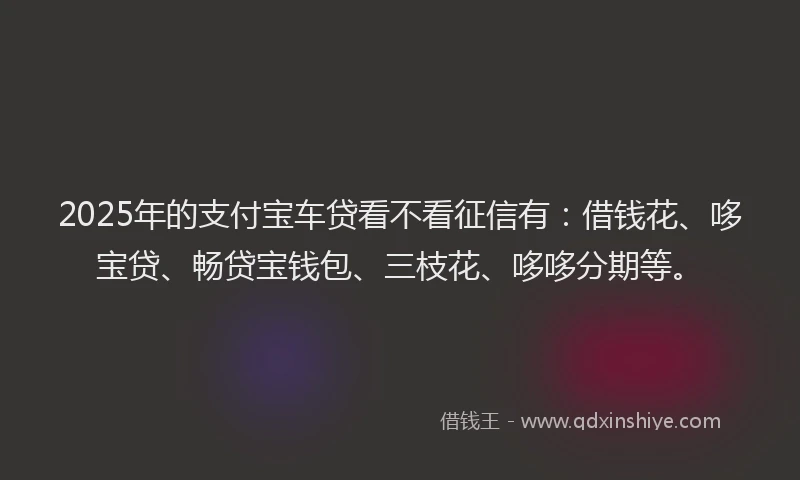 2025年的支付宝车贷看不看征信有：借钱花、哆宝贷、畅贷宝钱包、三枝花、哆哆分期等。