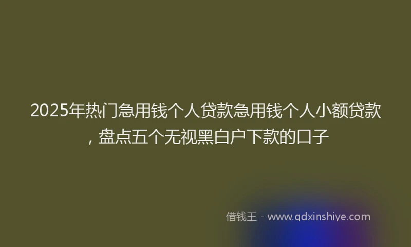 2025年热门急用钱个人贷款急用钱个人小额贷款，盘点五个无视黑白户下款的口子