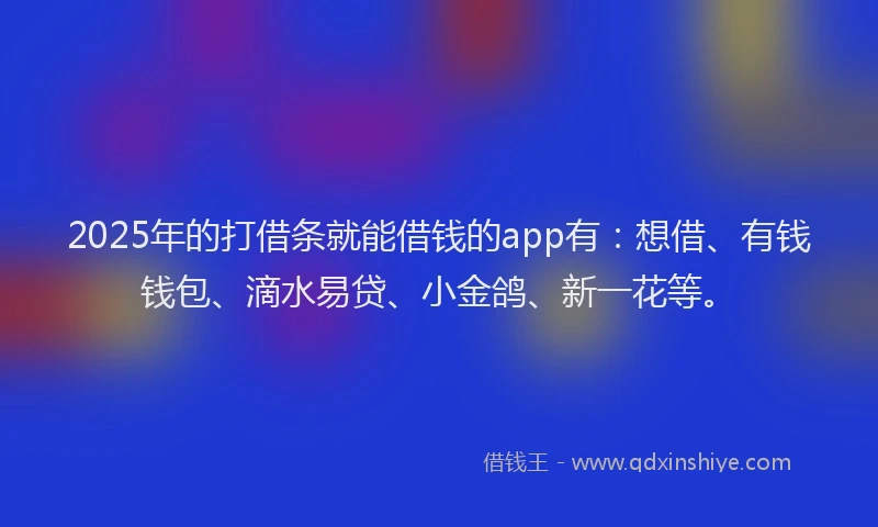2025年的打借条就能借钱的app有：想借、有钱钱包、滴水易贷、小金鸽、新一花等。
