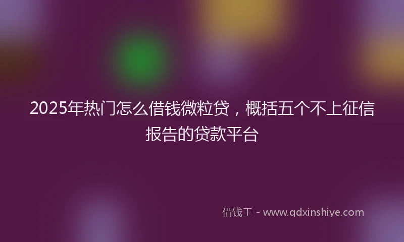 2025年热门怎么借钱微粒贷，概括五个不上征信报告的贷款平台