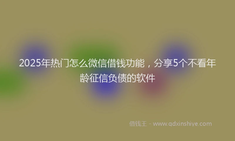 2025年热门怎么微信借钱功能，分享5个不看年龄征信负债的软件