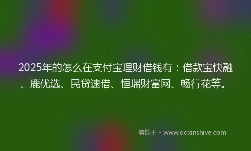 2025年的怎么在支付宝理财借钱有：借款宝快融、鹿优选、民贷速借、恒瑞财富网、畅行花等。