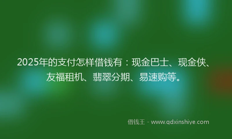 2025年的支付怎样借钱有：现金巴士、现金侠、友福租机、翡翠分期、易速购等。
