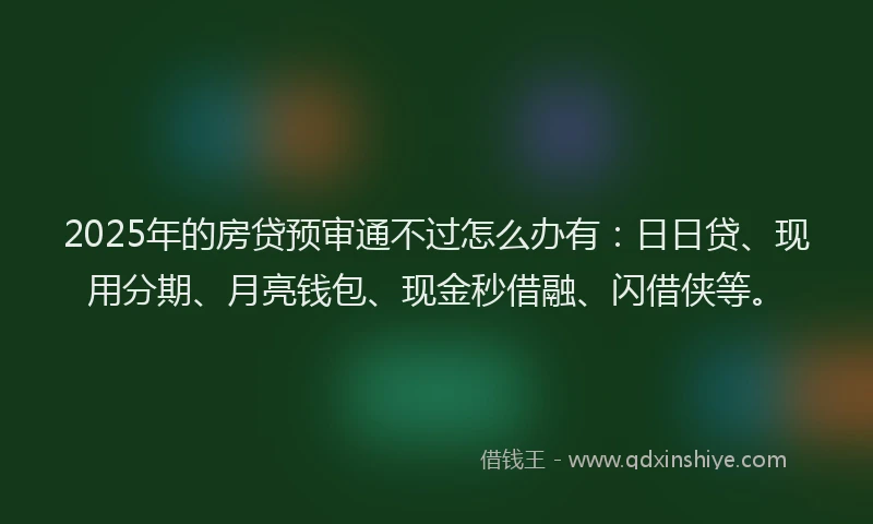 2025年的房贷预审通不过怎么办有：日日贷、现用分期、月亮钱包、现金秒借融、闪借侠等。
