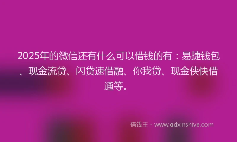 2025年的微信还有什么可以借钱的有：易捷钱包、现金流贷、闪贷速借融、你我贷、现金侠快借通等。