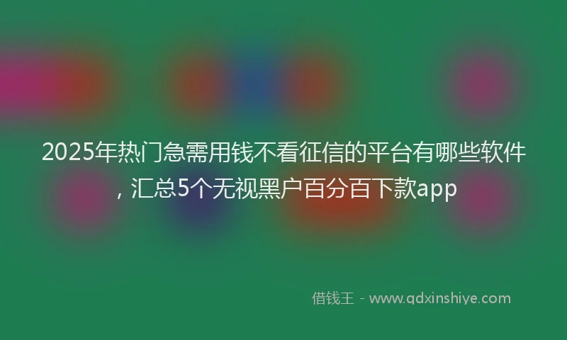 2025年热门急需用钱不看征信的平台有哪些软件，汇总5个无视黑户百分百下款app