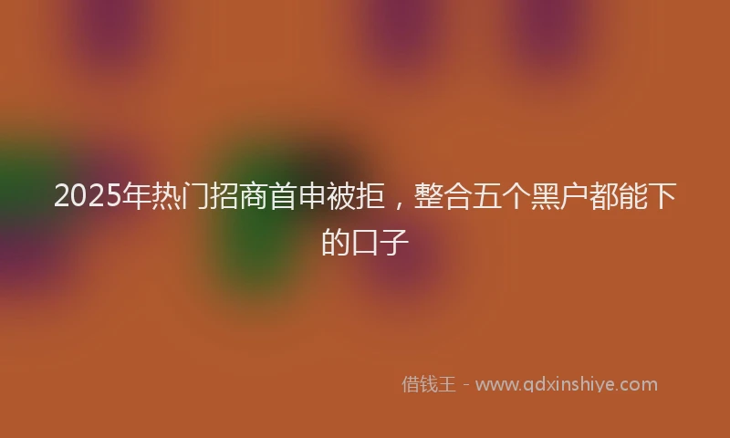 2025年热门招商首申被拒，整合五个黑户都能下的口子
