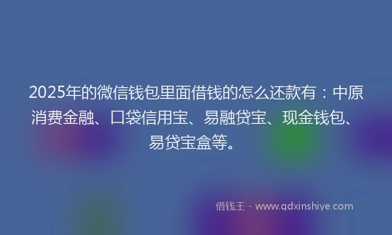2025年的微信钱包里面借钱的怎么还款有：中原消费金融、口袋信用宝、易融贷宝、现金钱包、易贷宝盒等。