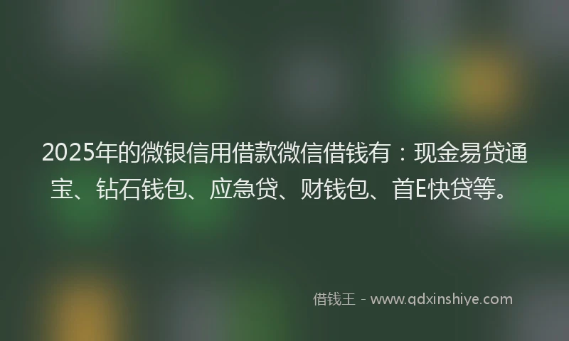 2025年的微银信用借款微信借钱有：现金易贷通宝、钻石钱包、应急贷、财钱包、首E快贷等。