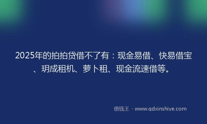 2025年的拍拍贷借不了有：现金易借、快易借宝、玥成租机、萝卜租、现金流速借等。