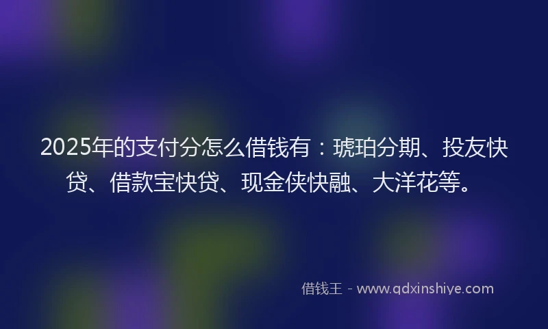 2025年的支付分怎么借钱有：琥珀分期、投友快贷、借款宝快贷、现金侠快融、大洋花等。