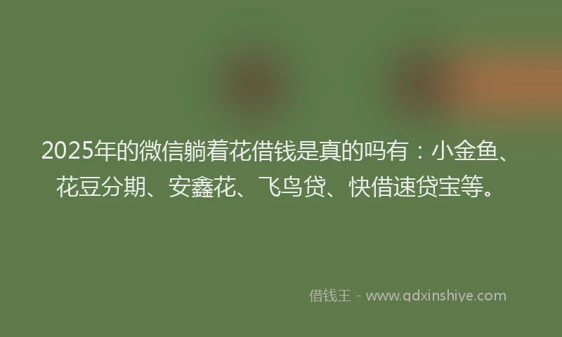 2025年的微信躺着花借钱是真的吗有：小金鱼、花豆分期、安鑫花、飞鸟贷、快借速贷宝等。