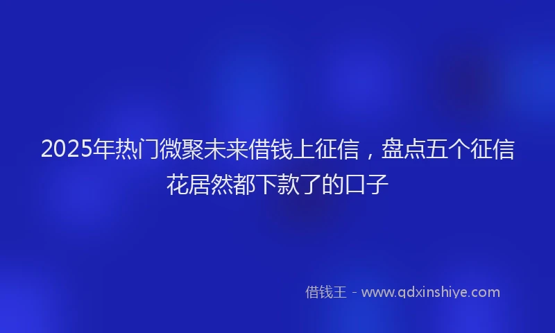 2025年热门微聚未来借钱上征信，盘点五个征信花居然都下款了的口子