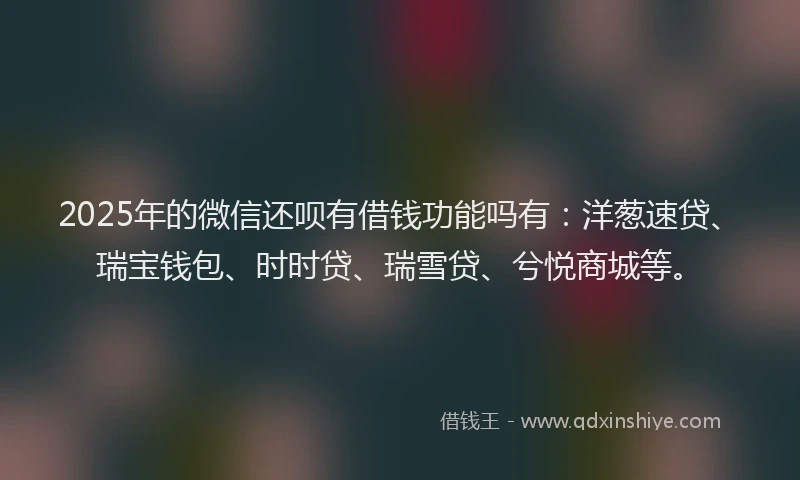 2025年的微信还呗有借钱功能吗有：洋葱速贷、瑞宝钱包、时时贷、瑞雪贷、兮悦商城等。