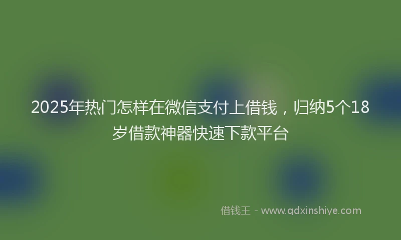 2025年热门怎样在微信支付上借钱，归纳5个18岁借款神器快速下款平台