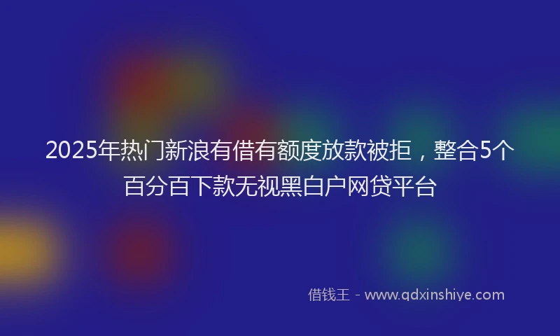 2025年热门新浪有借有额度放款被拒，整合5个百分百下款无视黑白户网贷平台