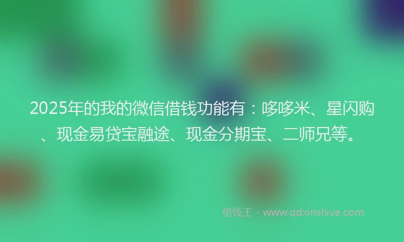 2025年的我的微信借钱功能有：哆哆米、星闪购、现金易贷宝融途、现金分期宝、二师兄等。
