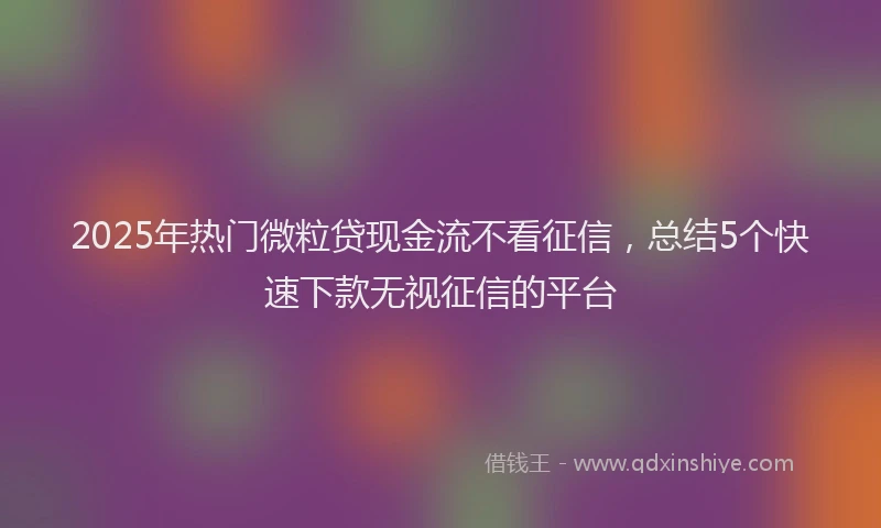 2025年热门微粒贷现金流不看征信，总结5个快速下款无视征信的平台