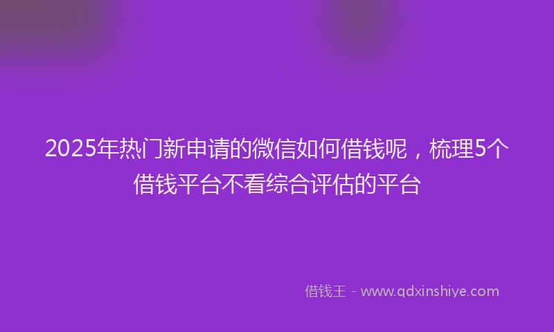 2025年热门新申请的微信如何借钱呢，梳理5个借钱平台不看综合评估的平台