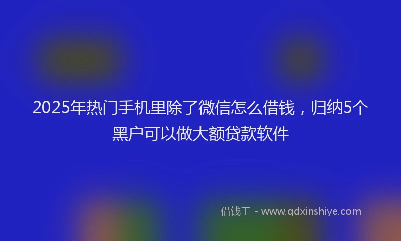 2025年热门手机里除了微信怎么借钱，归纳5个黑户可以做大额贷款软件