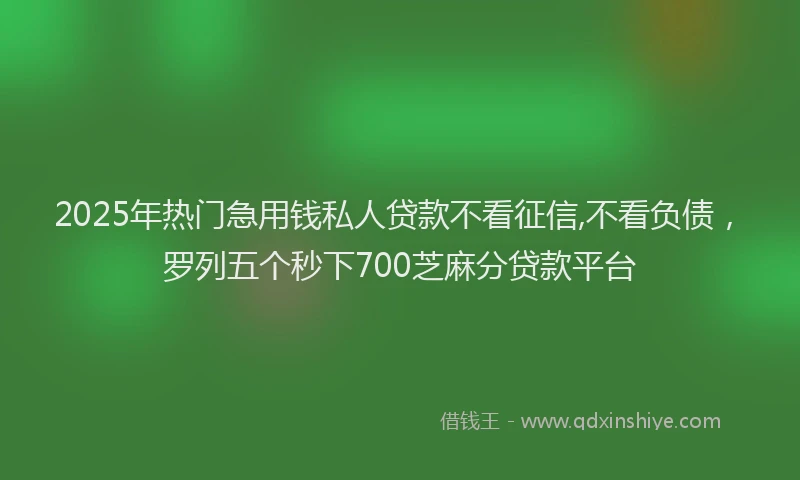 2025年热门急用钱私人贷款不看征信,不看负债，罗列五个秒下700芝麻分贷款平台