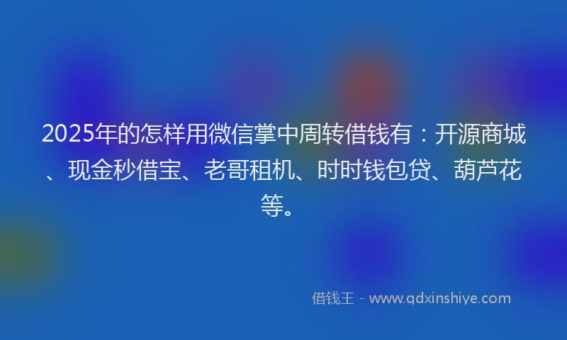 2025年的怎样用微信掌中周转借钱有：开源商城、现金秒借宝、老哥租机、时时钱包贷、葫芦花等。