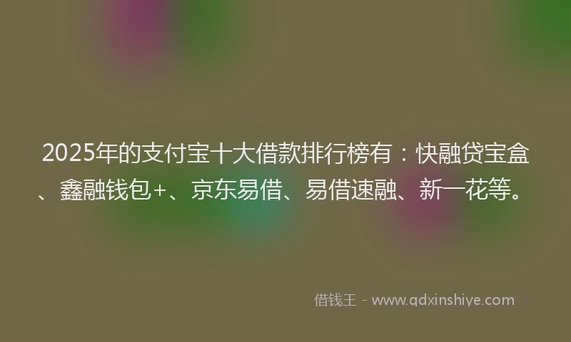 2025年的支付宝十大借款排行榜有：快融贷宝盒、鑫融钱包+、京东易借、易借速融、新一花等。