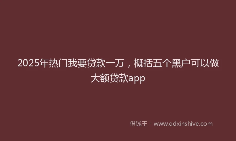 2025年热门我要贷款一万，概括五个黑户可以做大额贷款app