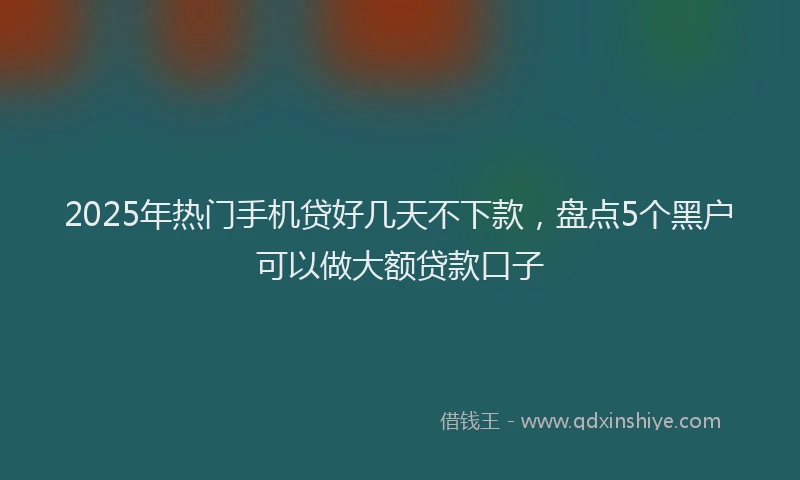 2025年热门手机贷好几天不下款，盘点5个黑户可以做大额贷款口子