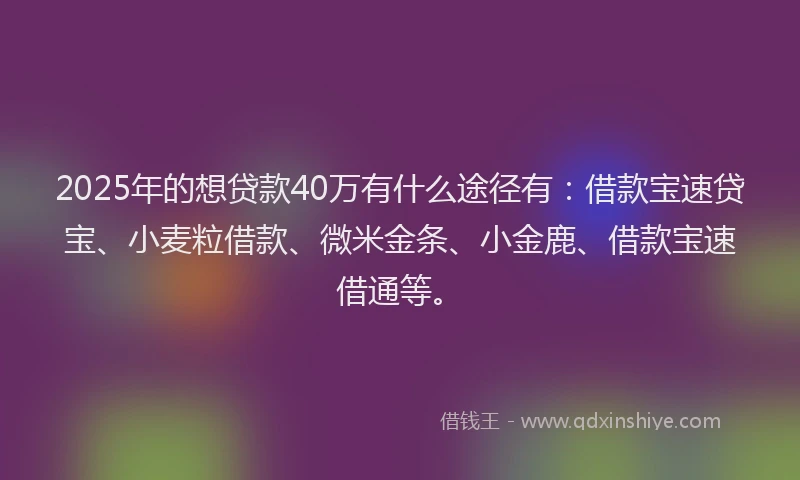 2025年的想贷款40万有什么途径有：借款宝速贷宝、小麦粒借款、微米金条、小金鹿、借款宝速借通等。