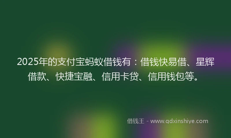 2025年的支付宝蚂蚁借钱有：借钱快易借、星辉借款、快捷宝融、信用卡贷、信用钱包等。