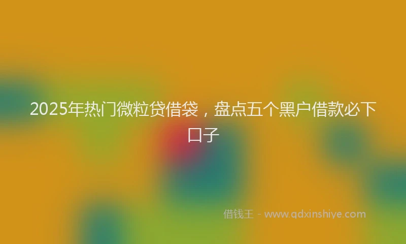 2025年热门微粒贷借袋，盘点五个黑户借款必下口子