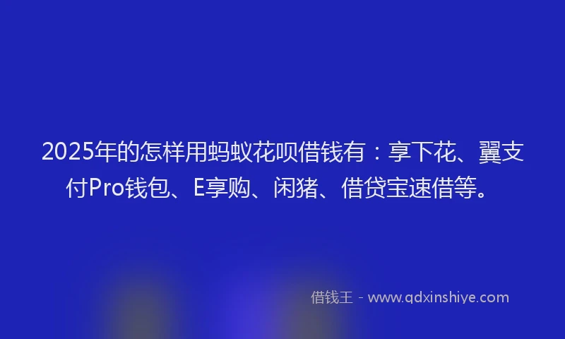 2025年的怎样用蚂蚁花呗借钱有：享下花、翼支付Pro钱包、E享购、闲猪、借贷宝速借等。